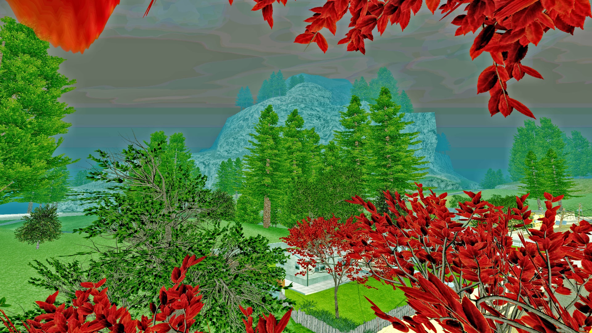 Nature